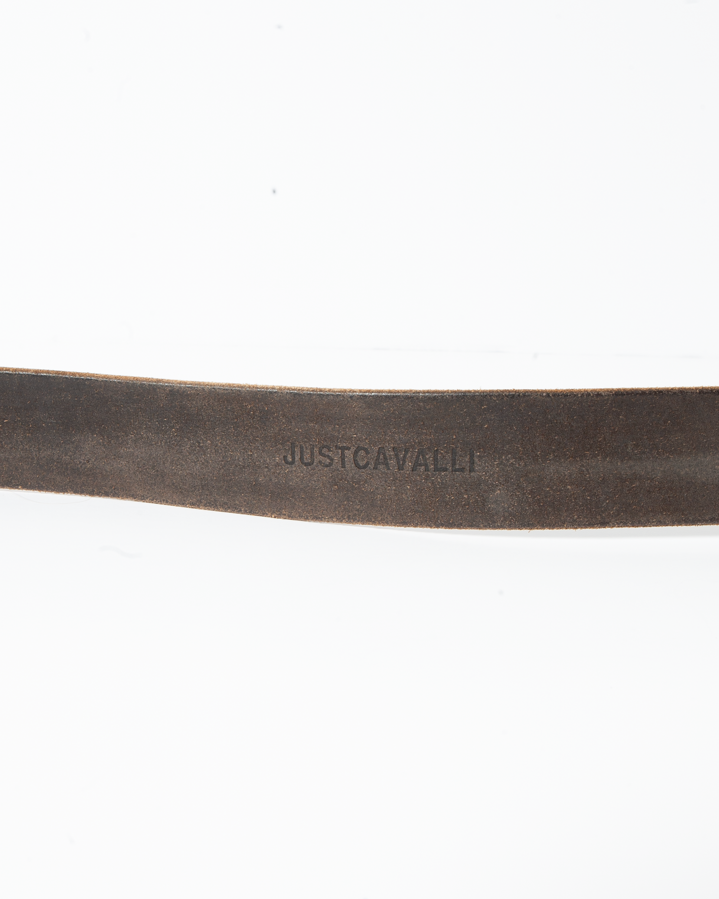 Cavalli belti